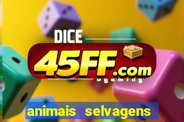animais selvagens fotos e nomes
